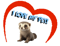 Guinea Pig Love Sticker