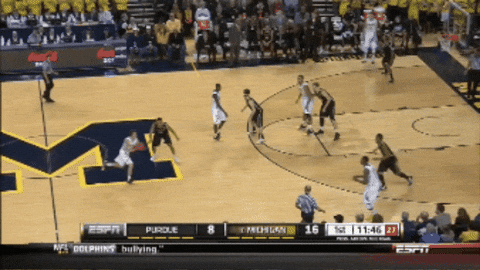 RadiusAthletics giphygifmaker michigan GIF