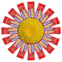 happy fun Sticker by MAOAM