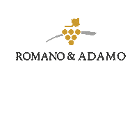 Food Wine Sticker by romanoeadamo