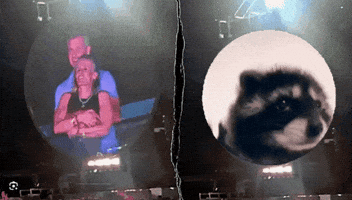 Raccoon Pedro GIF by Chris Cimino