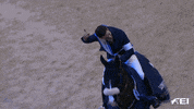 FEI_Global celebration celebrate point winner GIF