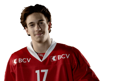 Lhc Lausannehc Sticker by Lausanne Hockey Club