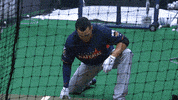 mia GIF by MLB