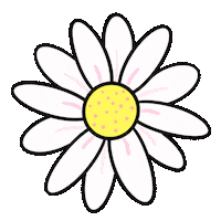 Flower Daisy Sticker