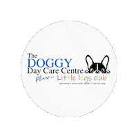 Ddcc Sticker by The Doggy Day Care Centre Ltd.