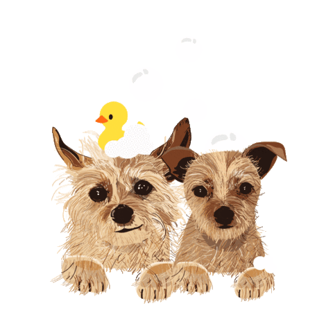 Dog Sticker by The OUAI