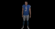 Football Shrug GIF by Detroit Lions