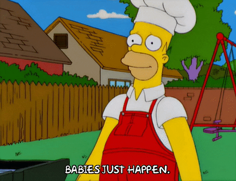 homer simpson GIF