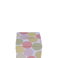 bachmannconfiserie switzerland schweiz macaron kuchen Sticker