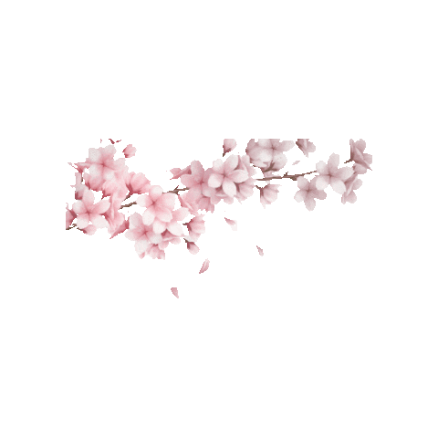 Spring Sakura Sticker by Regensburg Guide