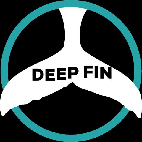 deepfintenerife giphyupload diving dive tenerife GIF