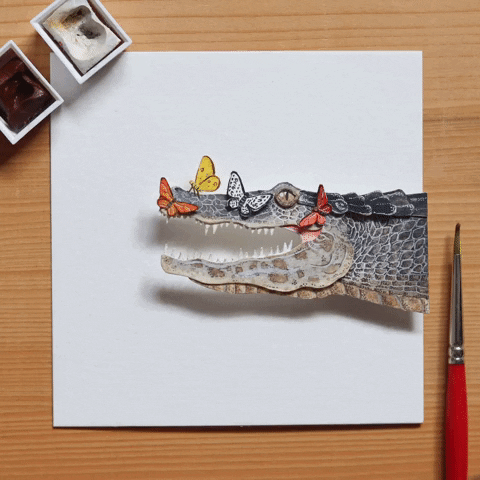 NVillustration animation butterfly wildlife stopmotion GIF