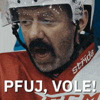 Ew Hokej GIF by Seznam.cz