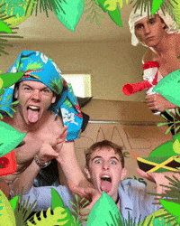Bob Jungle GIF