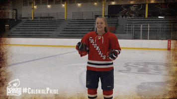 ice hockey fun GIF by Robert Morris University Athletics