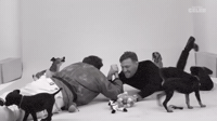 Arm wrestling