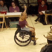 OklahomaBway sexy oklahoma rodgers hammerstein ali stroker GIF