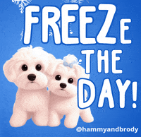 Freezing Merry Christmas GIF by HammyandBrody