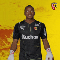 rclens lens rclens racing club de lens sang or GIF