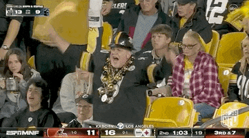 Regular Season Football GIF by NFL