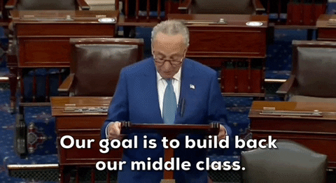 Chuck Schumer GIF by GIPHY News