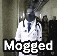Pigeon Looks GIF
