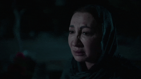 Bereketli Topraklar GIF by Show TV