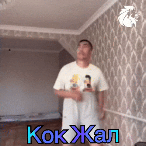 Kyrgyz GIF by Customize iT