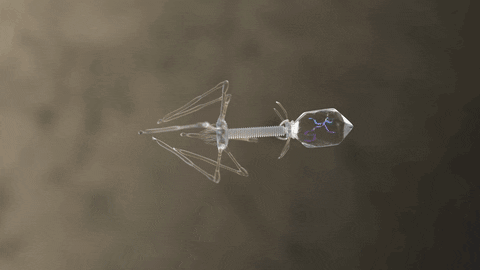 franciscosanchezcazeres giphyupload GIF