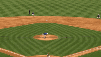 Mad Max Mlb GIF by Toronto Blue Jays