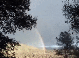 Double Rainbow GIF by The Gregory Brothers