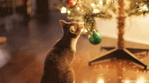 christmas tree GIF