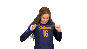 Uc Berkeley Volleyball Sticker by Cal Athletics
