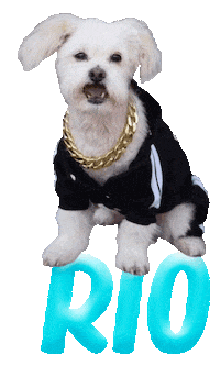 Dog Rescue Sticker