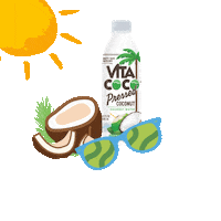 coconut Sticker by Vita Coco