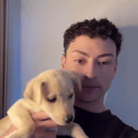 Dog Love GIF by Dylan Bounce