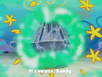 season 4 GIF by SpongeBob SquarePants