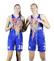 Cbvbinnenland Sticker by 4Consult / Binnenland