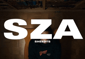 Sza GIF by SheedTs