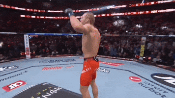 Sport Mma GIF by UFC