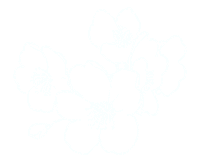 hs-movies flower japan sakura 白 Sticker