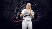 Florida K GIF by USSSA Pride