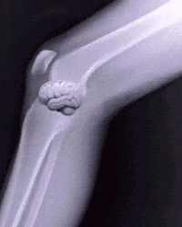 New Year Christmas GIF