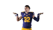 Ncaa Football Scott Sticker by Cal Athletics