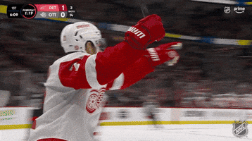Happy Red Wings GIF by NHL