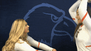 Cnvb Cnvb2019 GIF by Carson-Newman Athletics