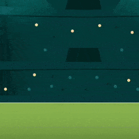 Field Goal Win GIF
