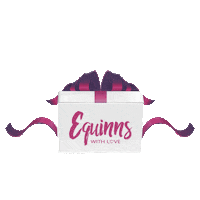 Gift Giftbox Sticker by Equinns
