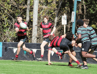 StJosephsGregoryTerrace rugby terracetothefore GIF